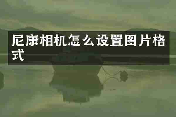 尼康相机怎么设置图片格式