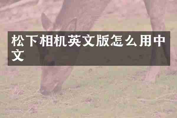松下相机英文版怎么用中文
