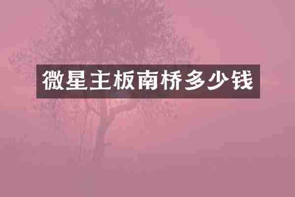 微星主板南桥多少钱
