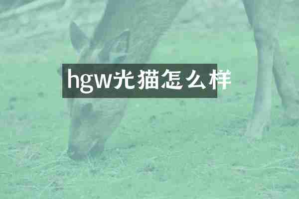 hgw光猫怎么样