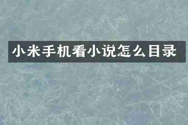 小米手机看小说怎么目录