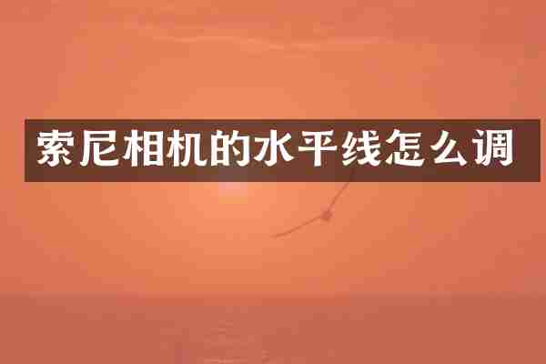 索尼相机的水平线怎么调