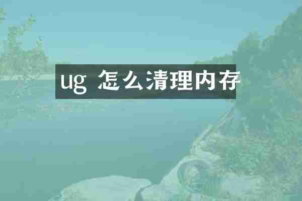 ug 怎么清理内存