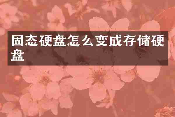 固态硬盘怎么变成存储硬盘