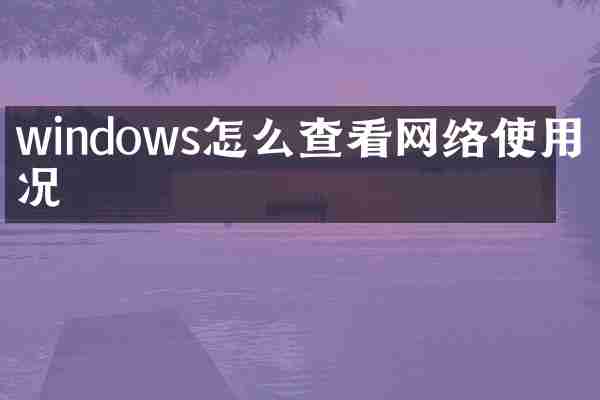 windows怎么查看网络使用情况