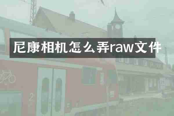 尼康相机怎么弄raw文件