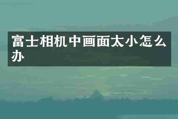 富士相机中画面太小怎么办