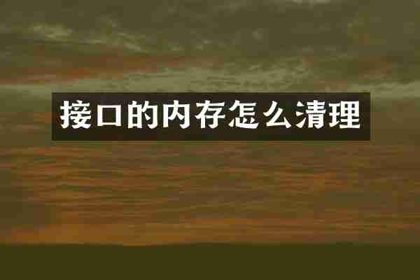 接口的内存怎么清理