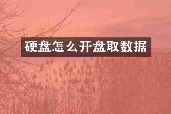 硬盘怎么开盘取数据