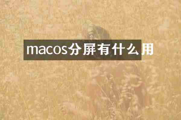 macos分屏有什么用