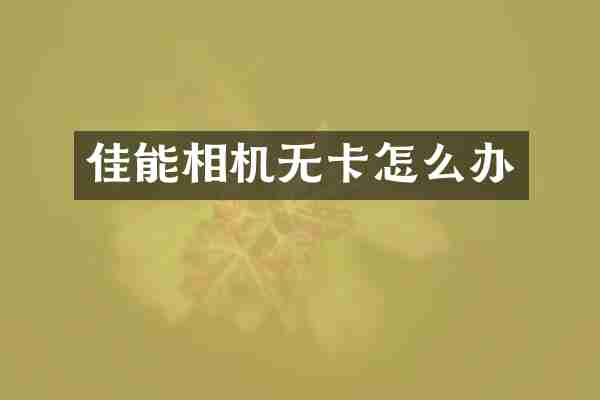 佳能相机无卡怎么办