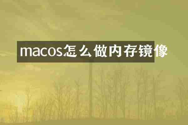macos怎么做内存镜像