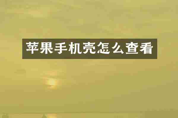 苹果手机壳怎么查看