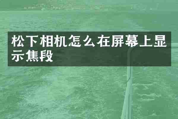松下相机怎么在屏幕上显示焦段