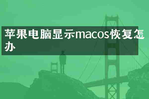 苹果电脑显示macos恢复怎么办