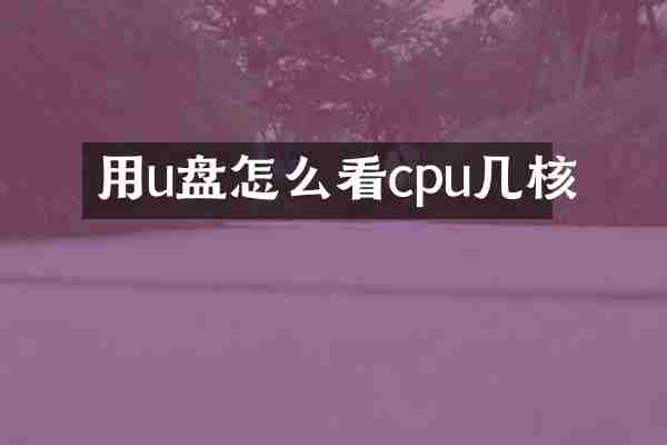 用u盘怎么看cpu几核