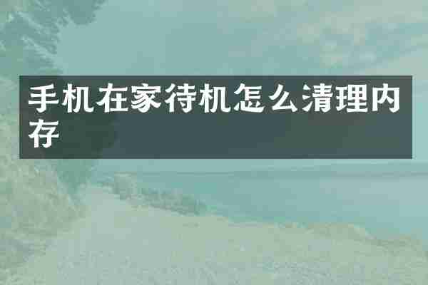 手机在家待机怎么清理内存