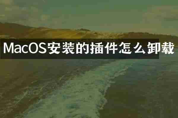 MacOS安装的插件怎么卸载