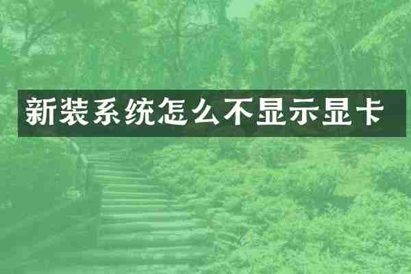 新装系统怎么不显示显卡