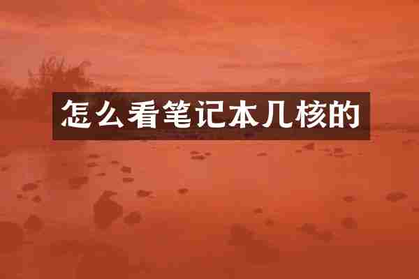 怎么看笔记本几核的