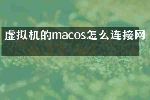 虚拟机的macos怎么连接网络