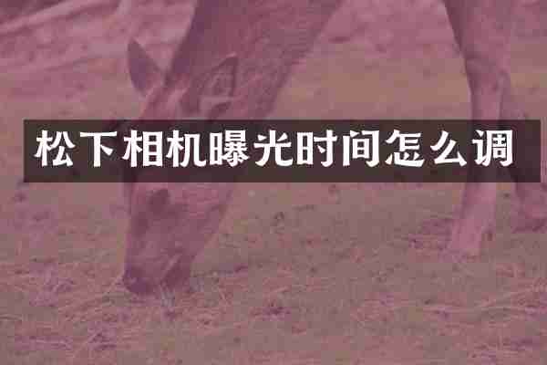 相机曝光时间怎么调
