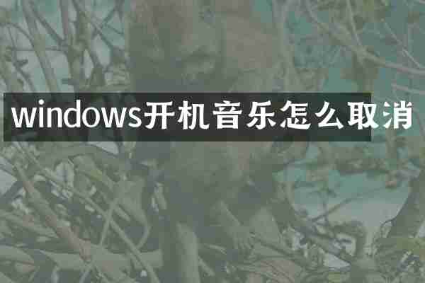 windows开机音乐怎么取消