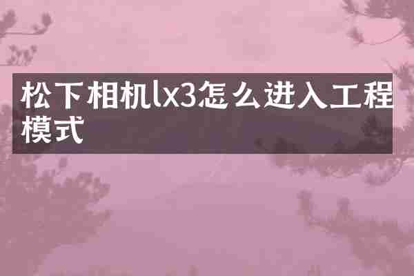 相机lx3怎么进入工程模式
