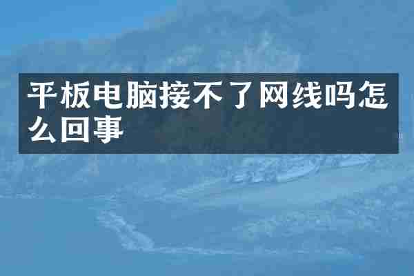 平板电脑接不了网线吗怎么回事