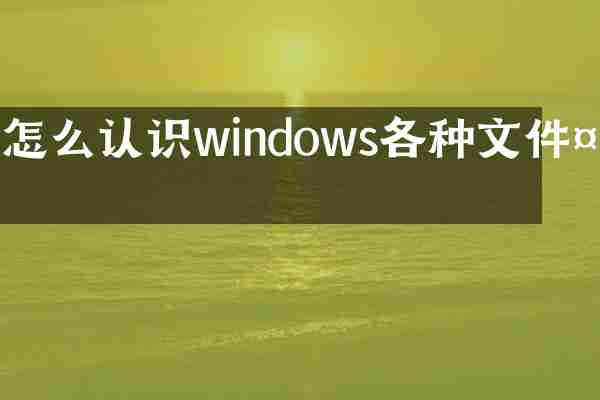 怎么认识windows各种文件夹
