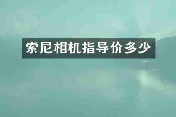 相机指导价多少