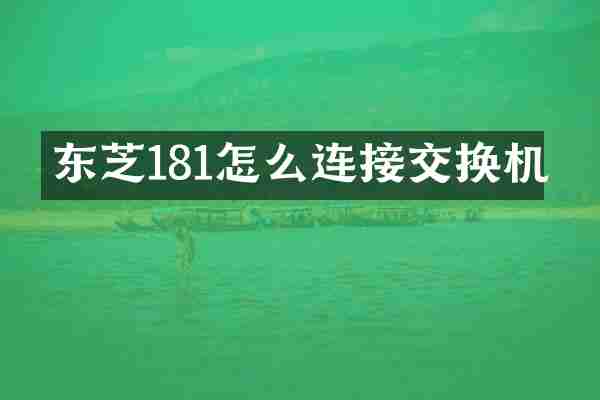 东芝181怎么连接交换机