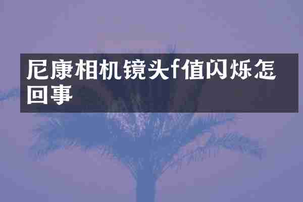 尼康相机镜头f值闪烁怎么回事