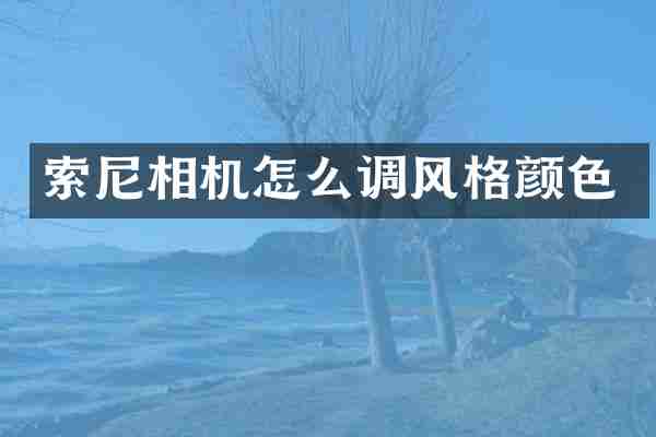 相机怎么调风格颜色