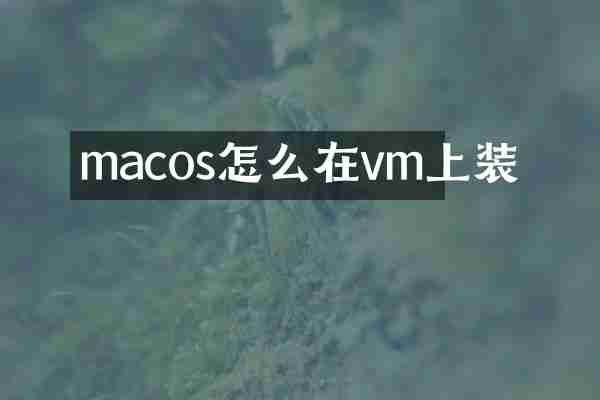 macos怎么在vm上装