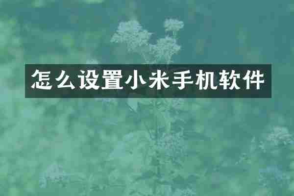 怎么设置小米手机软件