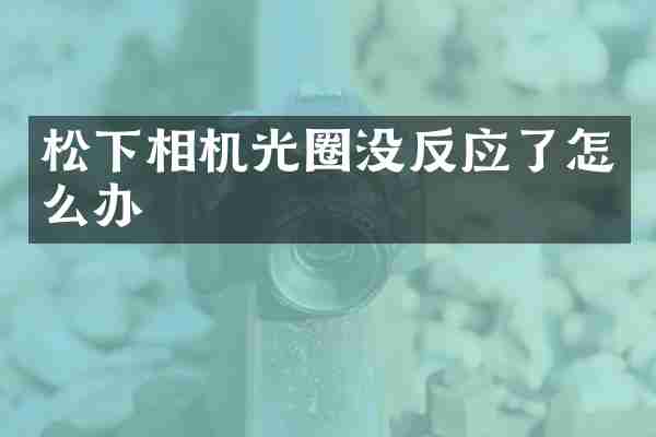 松下相机光圈没反应了怎么办