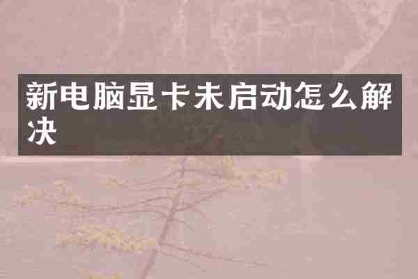 新电脑显卡未启动怎么解决