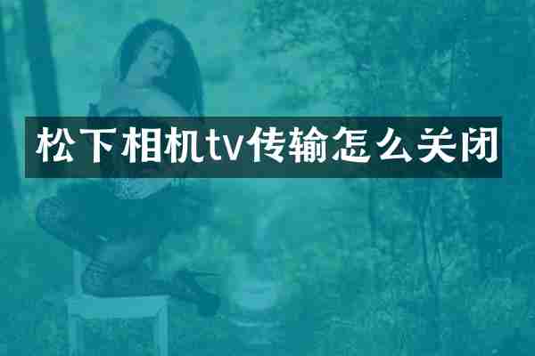 松下相机tv传输怎么关闭