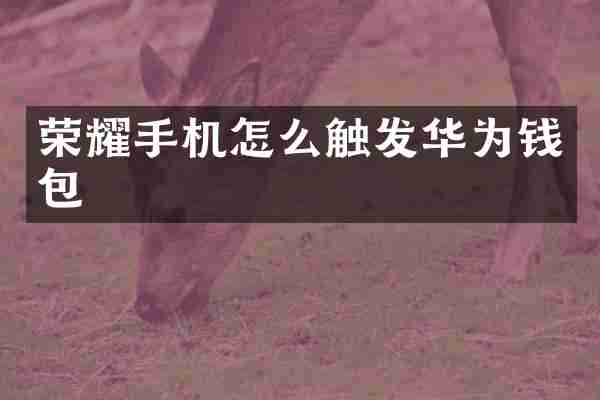 荣耀手机怎么触发华为钱包