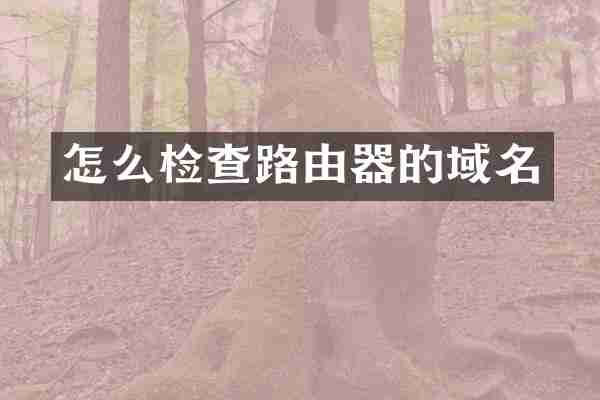 怎么检查路由器的域名