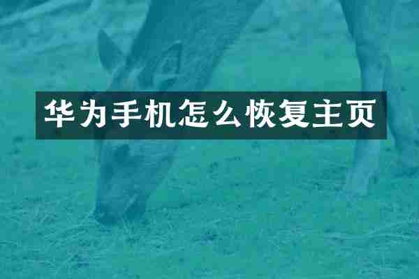 华为手机怎么恢复主页