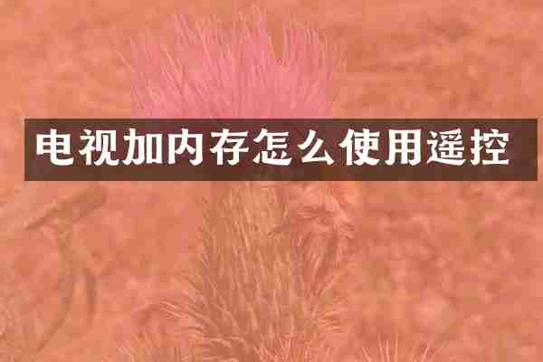 电视加内存怎么使用遥控