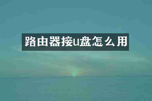 路由器接u盘怎么用