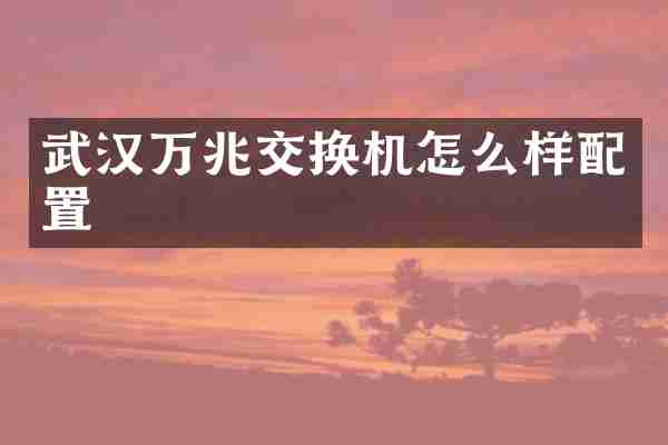 武汉万兆交换机怎么样配置
