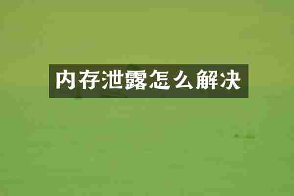 内存泄露怎么解决