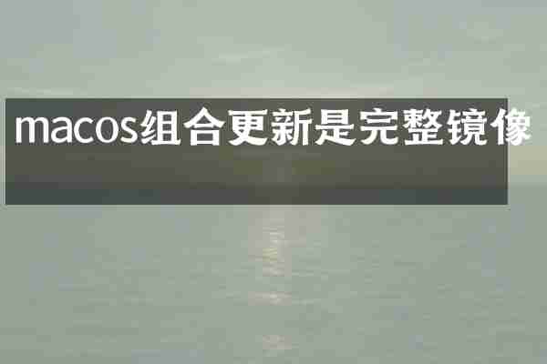 macos组合更新是完整镜像吗