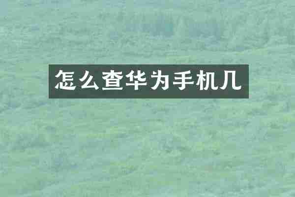 怎么查华为手机几