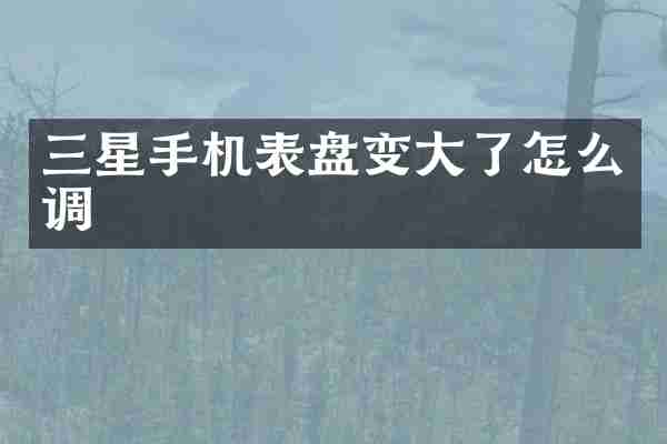 三星手机表盘变大了怎么调