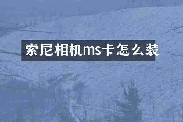 相机ms卡怎么装